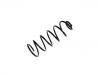 Coil Spring:7592172