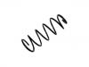 Fahrwerksfeder Coil Spring:5002.V7