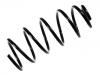 Coil Spring:1J0 411 105 AB