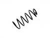 Muelle de chasis Coil Spring:1J0 411 105 J