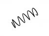 Fahrwerksfeder Coil Spring:5002.K3