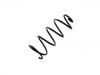 Fahrwerksfeder Coil Spring:7559895