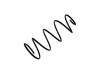 Coil Spring:7637216