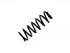 Fahrwerksfeder Coil Spring:5102.E1