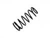 Coil Spring:96257710