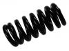 Fahrwerksfeder Coil Spring:95 624 958