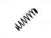 Fahrwerksfeder Coil Spring:5102.E2