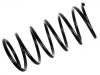 Fahrwerksfeder Coil Spring:5002.S6