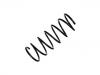 Muelle de chasis Coil Spring:5002.S7