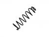 Coil Spring:5102.F7