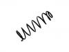 Muelle de chasis Coil Spring:5102.H0