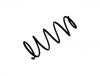 Fahrwerksfeder Coil Spring:5002.Z5