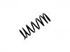 Fahrwerksfeder Coil Spring:48131-87563-000