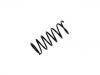 Fahrwerksfeder Coil Spring:48231-97411-000