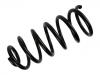 Coil Spring:7637560