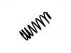 Muelle de chasis Coil Spring:46552013