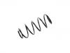 Fahrwerksfeder Coil Spring:50703898