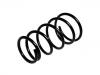 Fahrwerksfeder Coil Spring:3395946