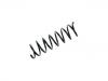 Fahrwerksfeder Coil Spring:1322166