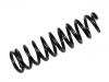 Coil Spring:51401-S10-A22