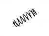 Muelle de chasis Coil Spring:52441-SZ3-G02