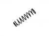 венцивидная пружина Coil Spring:52441-SR3-A05