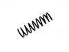 Coil Spring:XR8 35296