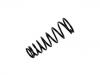 Coil Spring:JLM20161