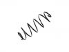 Fahrwerksfeder Coil Spring:C2S7244