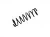 Coil Spring:55020-7F000