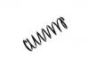 Muelle de chasis Coil Spring:55020-7F600