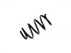 Muelle de chasis Coil Spring:44 08 960