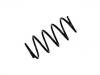 Fahrwerksfeder Coil Spring:9195609