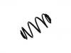 Fahrwerksfeder Coil Spring:9196470