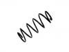 Fahrwerksfeder Coil Spring:312 776