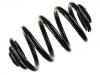 Coil Spring:424 022