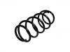 Fahrwerksfeder Coil Spring:312 854