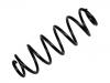 Fahrwerksfeder Coil Spring:5102.F5