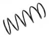 Coil Spring:5002.T2