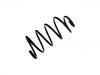 Fahrwerksfeder Coil Spring:5002.GG