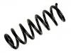 Fahrwerksfeder Coil Spring:5102.E3