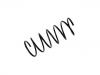 Muelle de chasis Coil Spring:5002.98