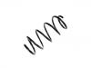 Coil Spring:82 00 004 684