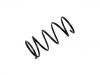 Coil Spring:20384-AC060