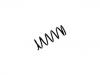 Fahrwerksfeder Coil Spring:48131-53080