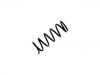 Fahrwerksfeder Coil Spring:48231-53041