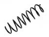 Fahrwerksfeder Coil Spring:3546642