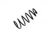 Fahrwerksfeder Coil Spring:6N0 411 105 C