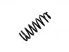 Muelle de chasis Coil Spring:54650-3F100