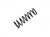 Ressort hélicoidal Coil Spring:55350-3F100